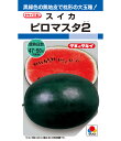 スイカ 種 ピロマスタ2 大玉 タキイ 種苗 おいしい 種類 家庭菜園 プロ向け 大袋 小袋 農家 セレクト