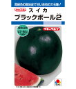 スイカ 種 ブラックボール2 大玉 タキイ 種苗 おいしい 種類 家庭菜園 プロ向け 大袋 小袋 農家 セレクト