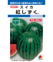 スイカ 種 紅しずく 大玉 タキイ 種苗 おいしい 種類 家庭菜園 プロ向け 大袋 小袋 農家 セレクト