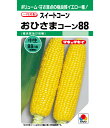 スイートコーン 種 おひさまコーン88 タキイ 種苗 おいしい 種類 家庭菜園 プロ向け 大袋 小袋 農家 セレクト