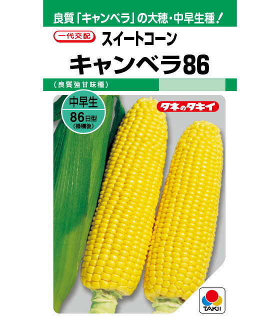 スイートコーン 種 キャンベラ86 タキイ 種苗 営利用 タネ たね 黄色 トウモロコシ の 種類 家庭菜園 プロ向け 大袋 小袋 農家 セレクト 畑 種まき 送料無料 とうもろこし 甘い スープ 野菜 種子 野菜種子 プランター 野菜種 自然栽培野菜 畑仕事