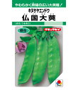絹莢 エンドウ 種 仏国大莢 タキイ 種苗 家庭菜園 プロ向け 大袋 小袋 農家 セレクト たね タネ えんどう