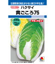 白菜 種 黄ごころ75 タキイ 種苗 家庭菜園 ハクサイ プロ向け 大袋 小袋 農家 セレクト たね タネ