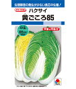 白菜 種 黄ごころ85 タキイ 種苗 家庭菜園 ハクサイ プロ向け 大袋 小袋 農家 セレクト たね タネ