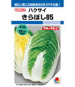白菜 種 きらぼし85 タキイ 種苗 家庭菜園 ハクサイ プロ向け 大袋 小袋 農家 セレクト たね タネ
