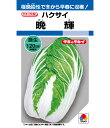 白菜 種 晩輝 タキイ 種苗 家庭菜園 ハクサイ プロ向け 大袋 小袋 農家 セレクト たね タネ