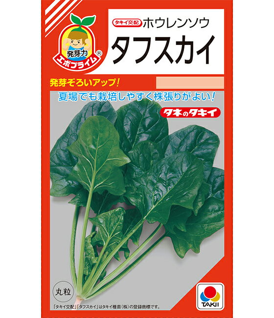 ほうれん草 種 タフスカイ タキイ 種苗 家庭菜園 プロ向け 大袋 小袋 農家 セレクト たね タネ ホウレンソウ 法蓮草のサムネイル