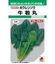 ほうれん草 種 牛若丸 タキイ 種苗 家庭菜園 プロ向け 大袋 小袋 農家 セレクト たね タネ ホウレンソウ 法蓮草