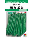インゲン 種 恋みどり つるなし タキイ 種苗 家庭菜園 プロ向け 大袋 小袋 農家 セレクト たね タネ