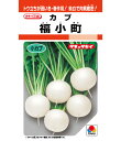 カブ 種 福小町 タキイ 種苗 家庭菜園 プロ向け 大袋 小袋 農家 セレクト たね タネ 蕪 かぶ