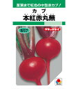 カブ 種 本紅赤丸蕪 タキイ 種苗 家庭菜園 プロ向け 大袋 小袋 農家 セレクト たね タネ 蕪 かぶ
