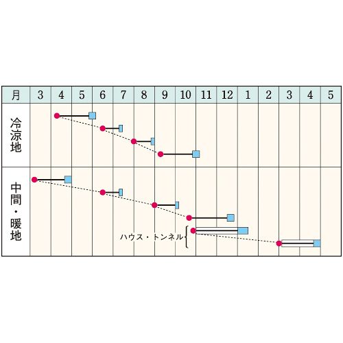 ������ �� �ڡ��� ������ ���� �����ڱ� �ץ����� ���� ���� ���� ���쥯�� ���� ���� ���ޥĥ�