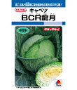 キャベツ 種 BCR龍月 タキイ 種苗 家庭菜園 プロ向け 大袋 小袋 農家 セレクト たね タネ きゃべつ 甘藍