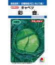 キャベツ 種 彩音 タキイ 種苗 家庭菜園 プロ向け 大袋 小袋 農家 セレクト たね タネ きゃべつ 甘藍