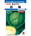 キャベツ 種 彩風 タキイ 種苗 家庭菜園 プロ向け 大袋 小袋 農家 セレクト たね タネ きゃべつ 甘藍