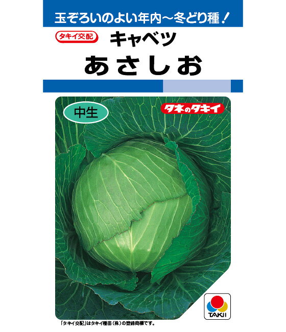Rakuten - キャベツ 種 あさしお タキイ 種苗 種子 畑 品種 たね 送料無料 キャベツ種 キャベツの種 自然栽培野菜 鉄分 鉄分補給 マグネシウム ビタミンC カルシウム 菜園 畑仕事 種苗 タネ ロールキャベツ キャベツの千切り お酒のおつまみ