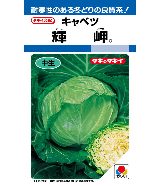 キャベツ 種 輝岬 タキイ 種苗 家庭菜園 プロ向け 大袋 小袋 農家 セレクト たね タネ きゃべつ 甘藍