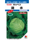 キャベツ 湖水 タキイ 種苗 家庭菜園 プロ向け 大袋 小袋 農家 セレクト たね タネ きゃべつ 甘藍