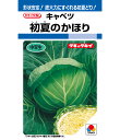 キャベツ 種 初夏のかほり タキイ 種苗 家庭菜園 プロ向け 大袋 小袋 農家 セレクト たね タネ きゃべつ 甘藍