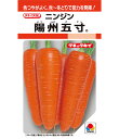 ニンジン 種 陽州五寸 タキイ 種苗 種 野菜 プロ向け 農家 セレクト にんじん 人参 ペレット 種 苗 野菜 タネ プロ向け 家庭菜園 たね 畑 種まき おいしい 畑仕事 送料無料 自然栽培野菜 種子 サラダ 野菜種子 キット 野菜種