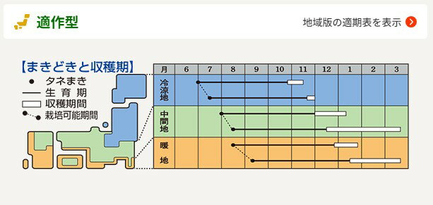 �˥󥸥� �� ͥ�� ������ ���� �� ��� �ץ����� �����ڱ� ���� ���쥯�� �ˤ󤸤� �ͻ� �� �� ��� ���� �ץ����� �����ڱ� ���� ���쥯�� ���� Ȫ ��ޤ� �������� Ȫ�Ż� ����̵�� ����������� ��� ����� ��ڼ�� ���å� ��ڼ�