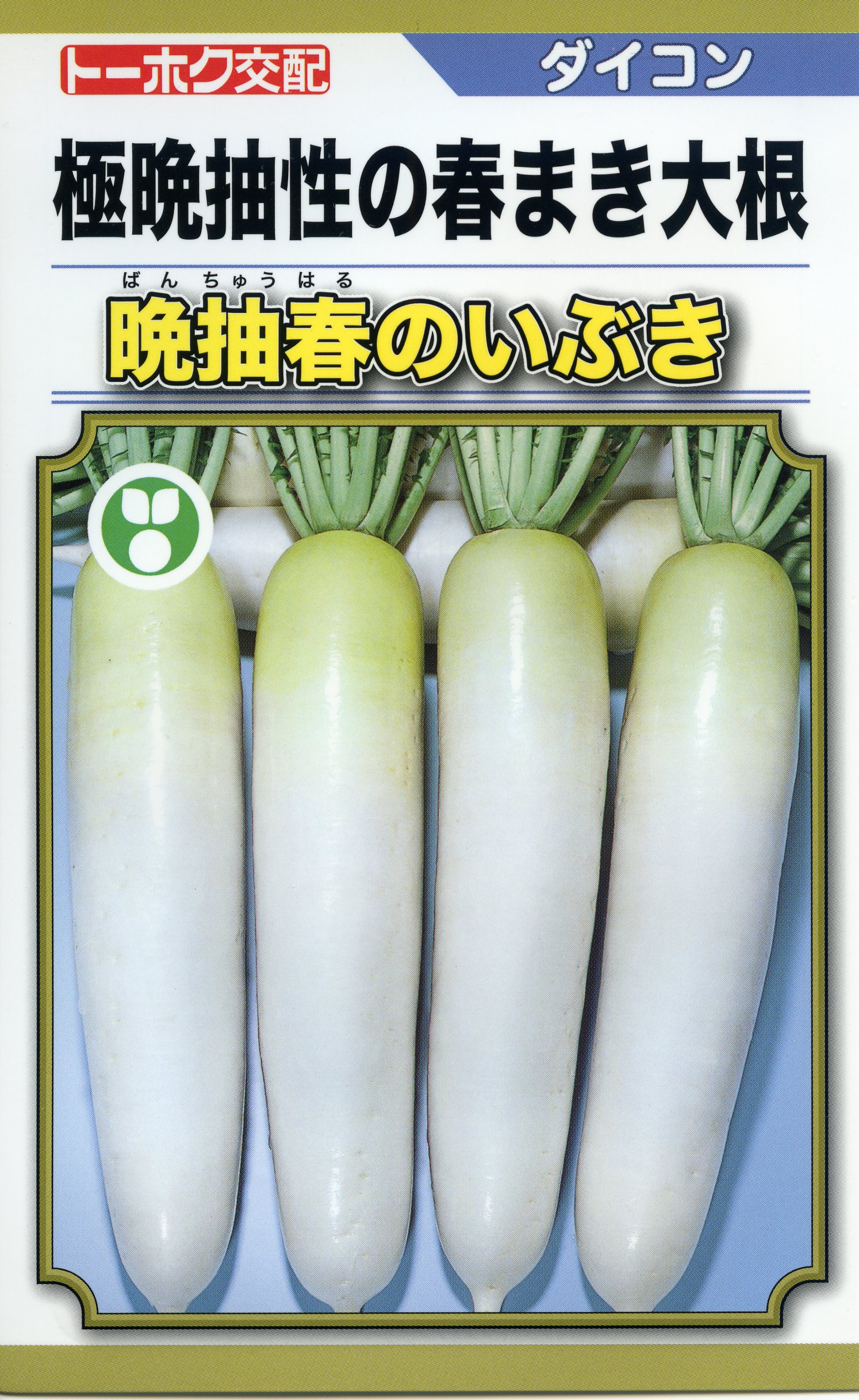 Rakuten - 大根 種 晩抽春のいぶき トーホク おいしい 種類 家庭菜園 プロ向け 大袋 小袋 農家 セレクト 極晩抽性 根部のつまり 根のつまり 春まき 春まき用 春まき総太り 総太り 総太り大根 総太りダイコン 太根 しっかり太る おいしい大根 種まき 春大根 春の種 春のいぶき 晩抽性