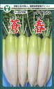 大根 種 蒼春 トーホク おいしい 種類 家庭菜園 プロ向け 大袋 小袋 農家 セレクト