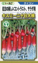二十日大根 種 キスミー二十日大根 トーホク おいしい 種類 家庭菜園 プロ向け 大袋 小袋 農家 セレクト