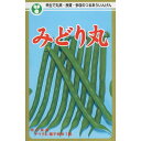 インゲン 種 みどり丸 トーホク おいしい 種類 家庭菜園 プロ向け 大袋 小袋 農家 セレクト