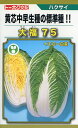 白菜 種 大福75 トーホク ハクサイ おいしい 種類 家庭菜園 プロ向け 大袋 小袋 農家 セレクト