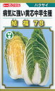白菜 種 結福78 トーホク ハクサイ おいしい 種類 家庭菜園 プロ向け 大袋 小袋 農家 セレクト