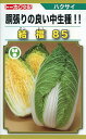 白菜 種 結福85 トーホク ハクサイ おいしい 種類 家庭菜園 プロ向け 大袋 小袋 農家 セレクト