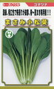 小松菜 種 まさみ トーホク コマツナ おいしい 種類 家庭菜園 プロ向け 大袋 小袋 農家 セレクト