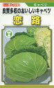 キャベツ 種 恋路 トーホク おいしい 種類 家庭菜園 プロ向け 大袋 小袋 農家 セレクト