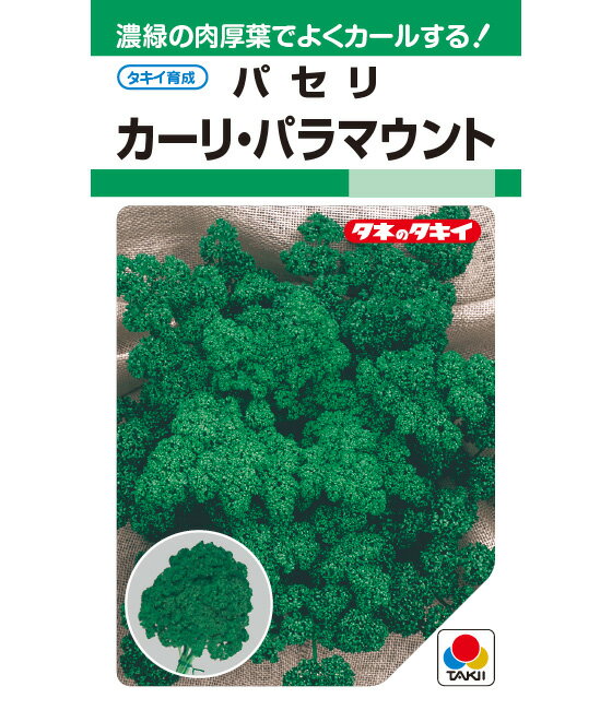 パセリ 種 カーリ・パラマウント タキイ 種苗 家庭菜園 プロ向け 大袋 小袋 農家 セレクト たね タネ
