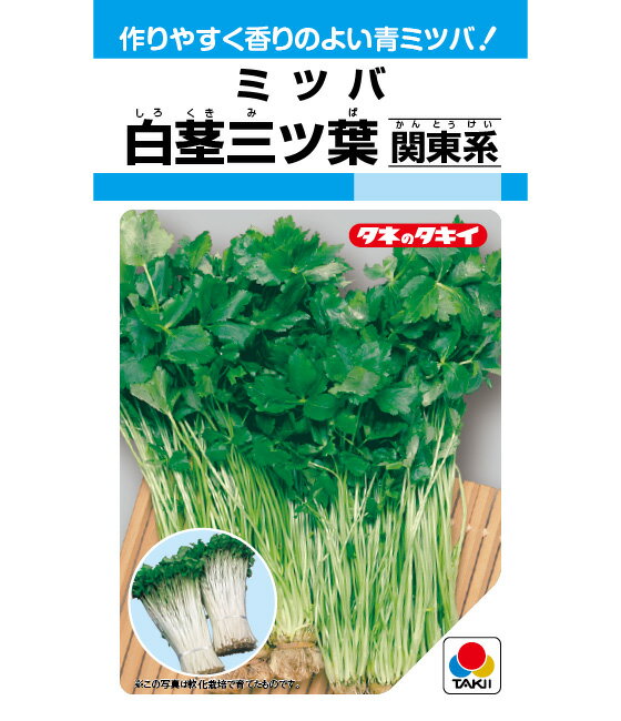 楽天市場】苗 三つ葉の通販