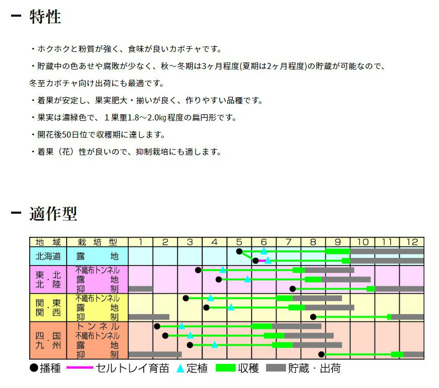 ���ܥ��� �� ������ ������� ���պμ�� ��� �ץ����� �����ڱ� ���� ���쥯�� ���� Ȫ ���ܤ���μ� Ȫ�Ż� ����������� ����̵�� ��� ��ڼ�� ��ޤ� ���� ���ե� ���å� �ץ쥼��� �� ���ܤ���