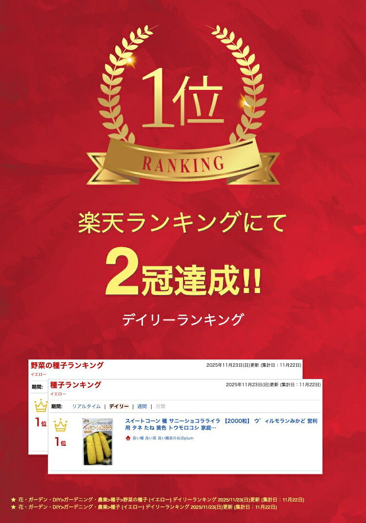 スイートコーン 種 サニーショコラライラ 【2000粒】 ウ゛ィルモランみかど 営利用 タネ たね 黄色 トウモロコシ 家庭菜園 プロ向け 大袋 小袋 農家 セレクト 畑 種まき 送料無料 とうもろこし 甘い スープ 野菜 種子 野菜種子 プランター 野菜種 自然栽培野菜 畑仕事 2