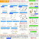 お手元に商品があるお客様向け　イヤー金具交換専用ページ