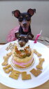 ワンコケーキ*ヘルシーディナーケーキ*S（犬用ケーキ・犬ケーキ・誕生日） 3