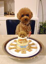 ワンコケーキ*ヘルシーディナーケーキ*S（犬用ケーキ・犬ケーキ・誕生日） 2