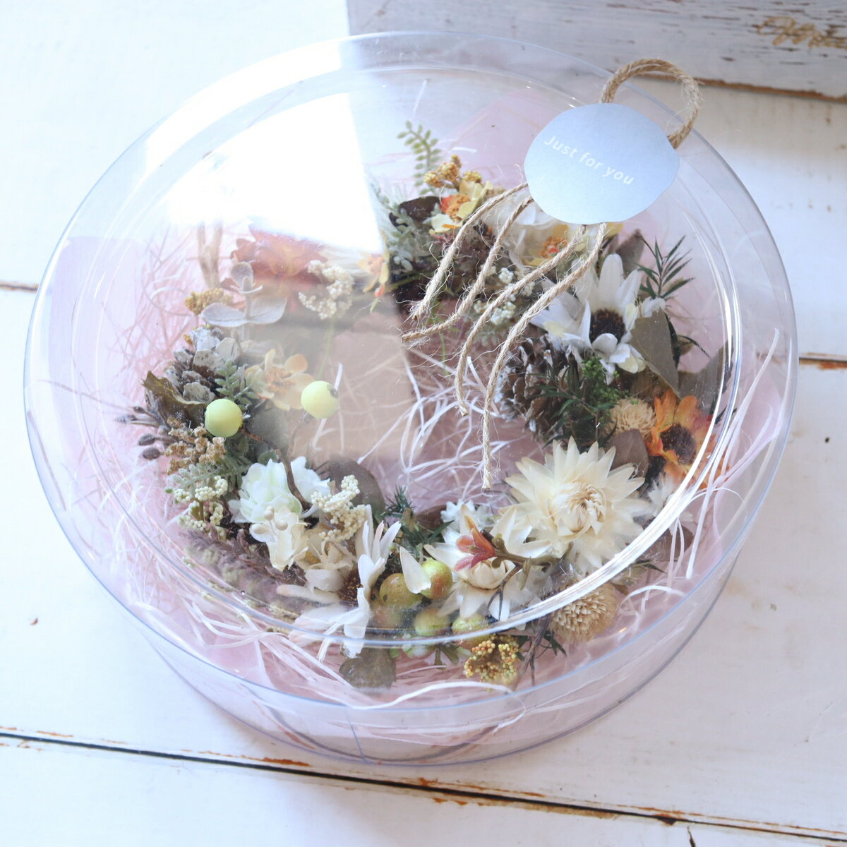 Option　オプション　【クリアボックス】