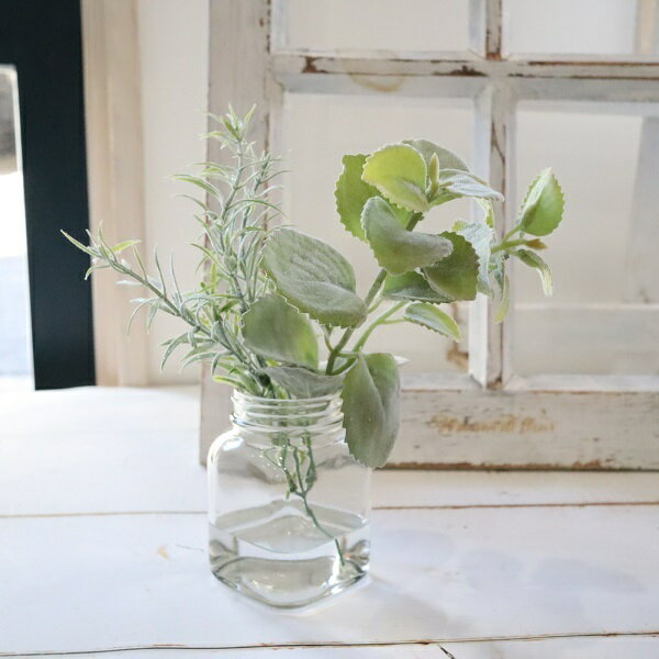 摘みたてハーブのよう　ローズマリー　ミント ハーブジャー　マジカルウォーター　インテリア　ギフト..