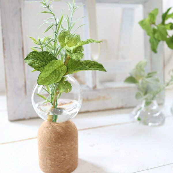 ミントとローズマリーのハーブアレンジ　魔法の水　マジカルウォーター　インテリア　ギフト　お祝い