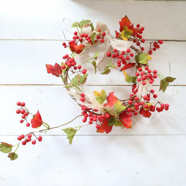 楽天市場】ドライ サンキライの通販