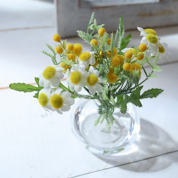 魔法の水 ミモザ　マジカルウォーター　mimosa 春　プチギフト　インテリア　お祝い お見舞い 固まって..