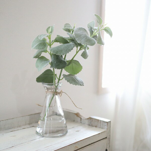 ミント　マジカルウォーター　ハーブ　魔法の水　インテリア　ギフト　お祝い　214