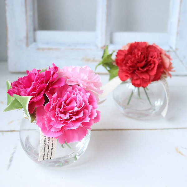 母の日　カーネーション　マジカルウォーター　魔法の水　283