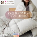 ロマンス小杉 公式 洗える 羽毛布団 コインランドリー ウォッシャブル シングル セミダブル ダブル クイーン ロマンス小杉 ダウン90% 日本製 1.1kg ...
