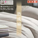 セットで【500円OFF】肌にやさしい熟成綿 日本製 綿100% 布団カバー シングル 掛け布団カバー 日本製 肌掛け布団カバー 綿100% 掛ふとんカバー 掛け布団 掛けふとんカバー 肌布団カバー セミダブル ダブル クイーン 3点セット 掛敷セット カバーおしゃれ